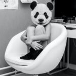 Panda human sitting in the chair